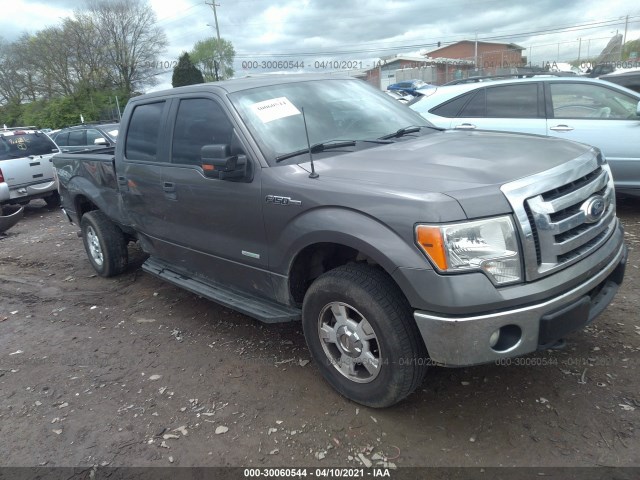 FORD F-150 2011 1ftfw1et7bkd76980