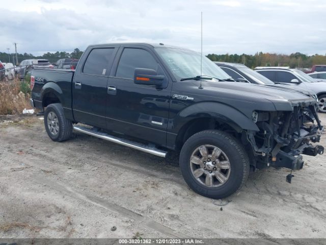 FORD F-150 2012 1ftfw1et7cfa39901