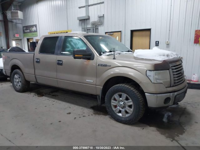 FORD F-150 2012 1ftfw1et7ckd90301