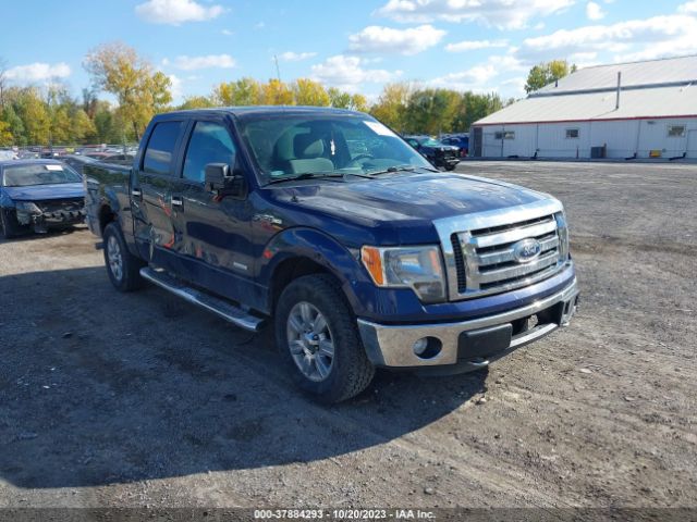 FORD F-150 2012 1ftfw1et7ckd93313