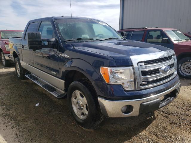 FORD F-150 2013 1ftfw1et7dfa06219