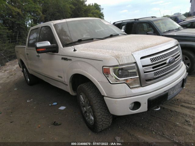 FORD F-150 2013 1ftfw1et7dfa59499