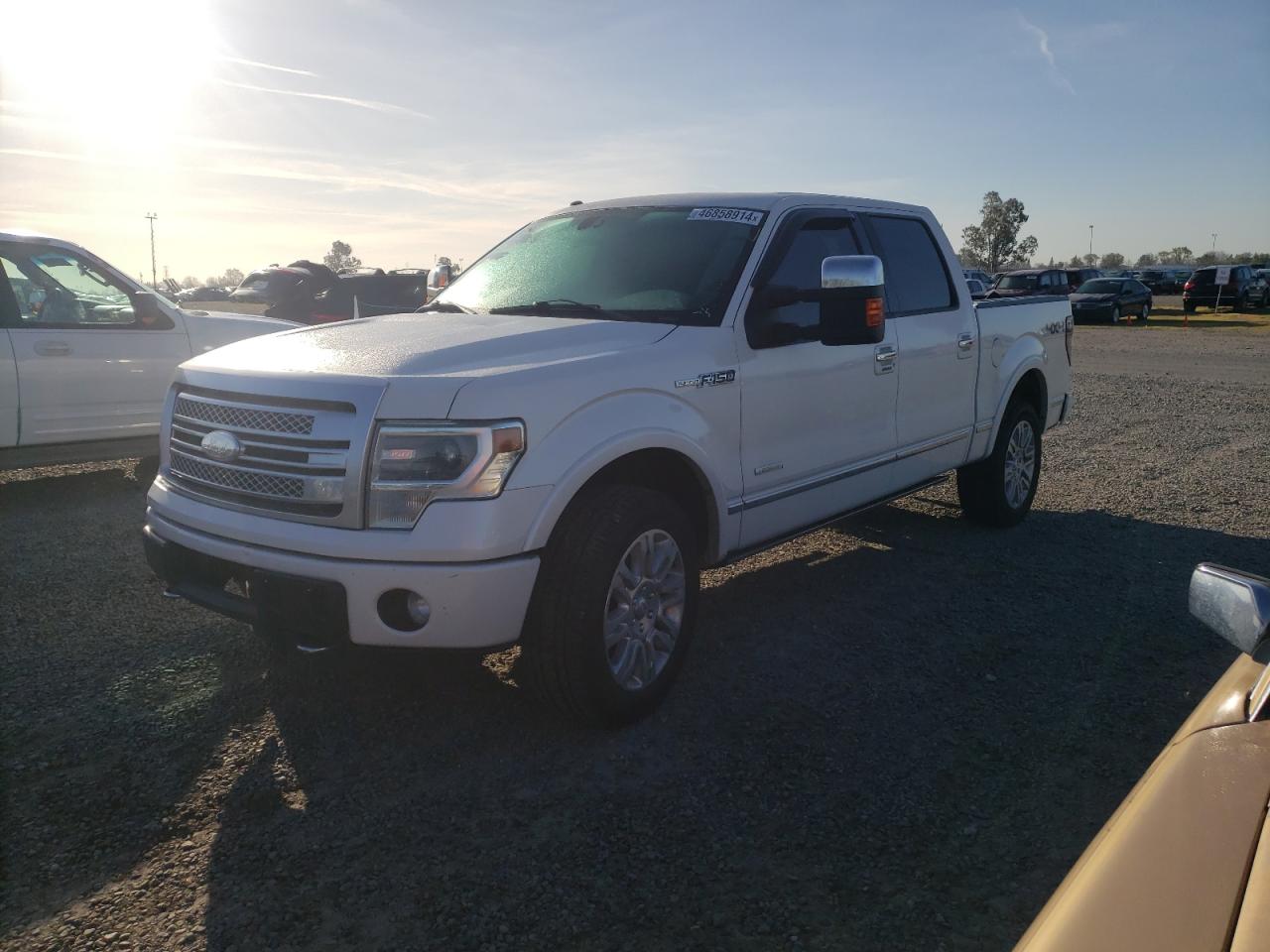 FORD F-150 2013 1ftfw1et7dfa74858