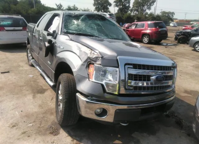 FORD F-150 2013 1ftfw1et7dfb18423