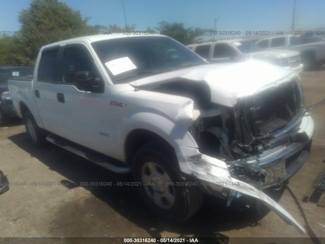 FORD F-150 2013 1ftfw1et7dfb23198