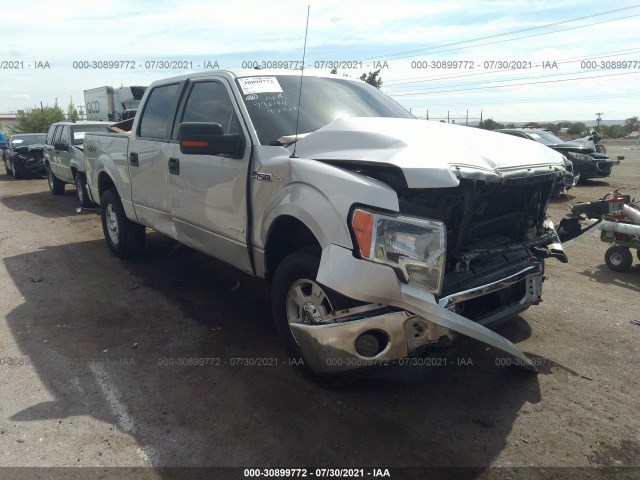 FORD F-150 2013 1ftfw1et7dfb23511