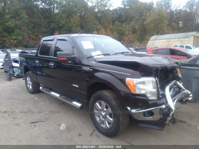 FORD F-150 2013 1ftfw1et7dfc75658