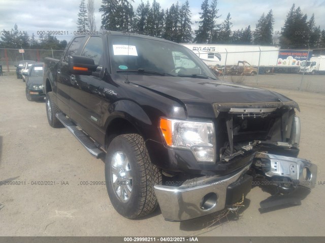 FORD F-150 2013 1ftfw1et7dfd06861