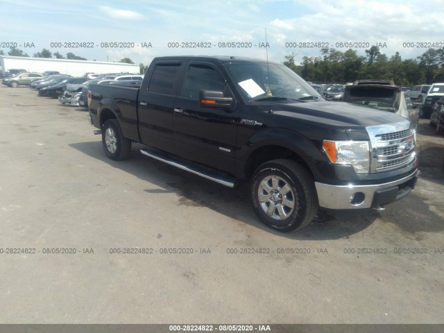 FORD F-150 2013 1ftfw1et7dfd24339