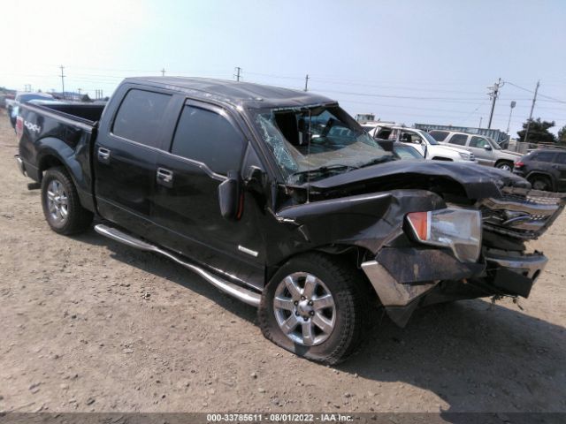 FORD F-150 2013 1ftfw1et7dfd61262