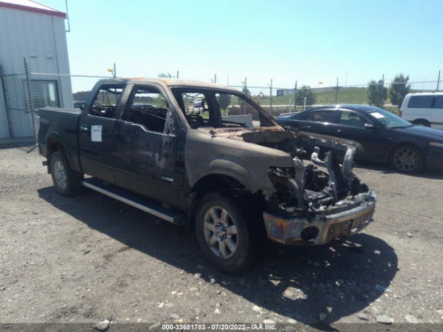 FORD F-150 2013 1ftfw1et7dkd26079