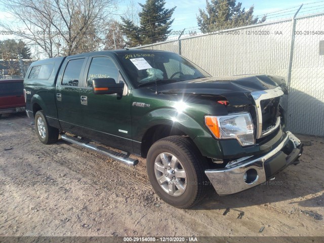 FORD F-150 2013 1ftfw1et7dkd87304