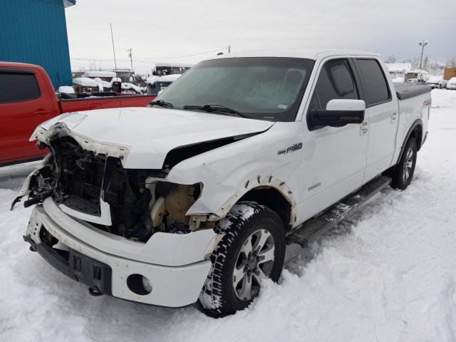 FORD F150 2013 1ftfw1et7dke02996