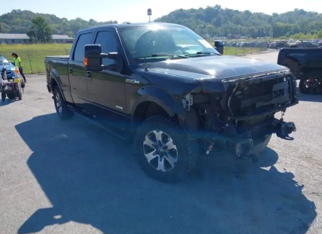 FORD F-150 2013 1ftfw1et7dke49431