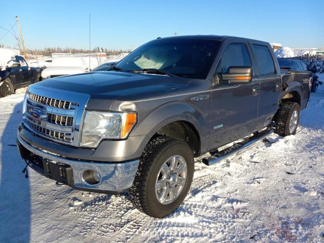 FORD F-150 2013 1ftfw1et7dkf95876