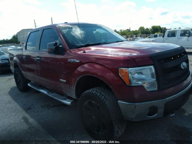 FORD F-150 2013 1ftfw1et7dkg24034