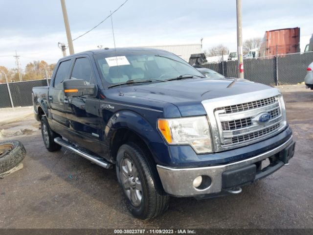 FORD F-150 2014 1ftfw1et7efc52494