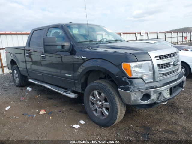 FORD F-150 2014 1ftfw1et7ekd86672