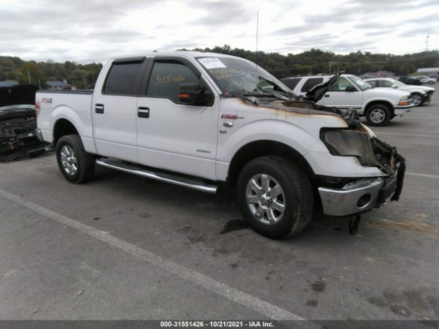 FORD F-150 2014 1ftfw1et7eke54632