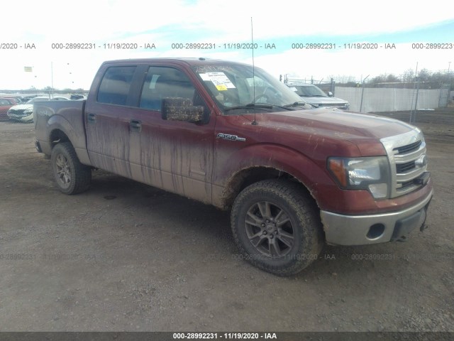 FORD F-150 2014 1ftfw1et7ekf12657