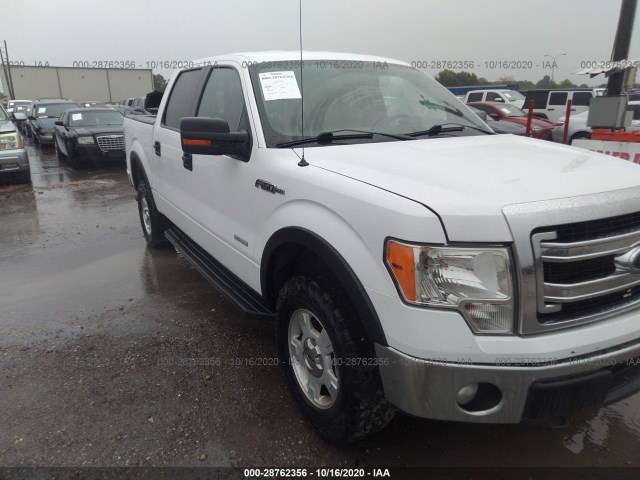 FORD F-150 2014 1ftfw1et7ekg06358