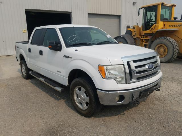 FORD F150 SUPER 2011 1ftfw1et8bfb31047