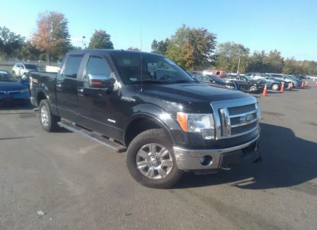 FORD F-150 2011 1ftfw1et8bfb94858