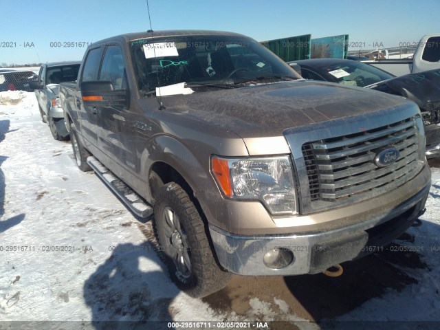 FORD F-150 2011 1ftfw1et8bfd29286