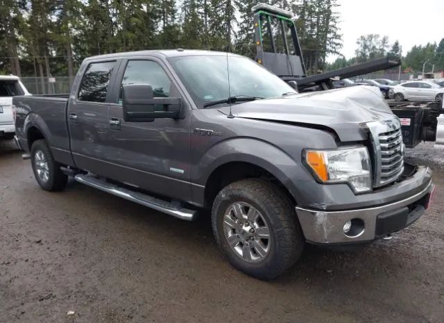 FORD F-150 2011 1ftfw1et8bkd65552