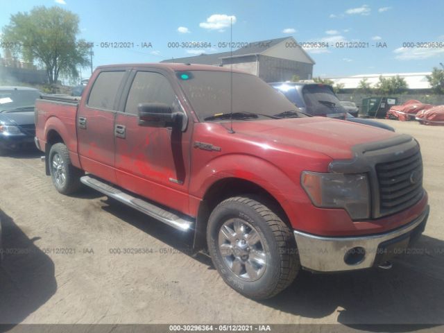 FORD F-150 2011 1ftfw1et8bkd81993