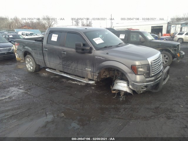 FORD F-150 2012 1ftfw1et8cfb97485