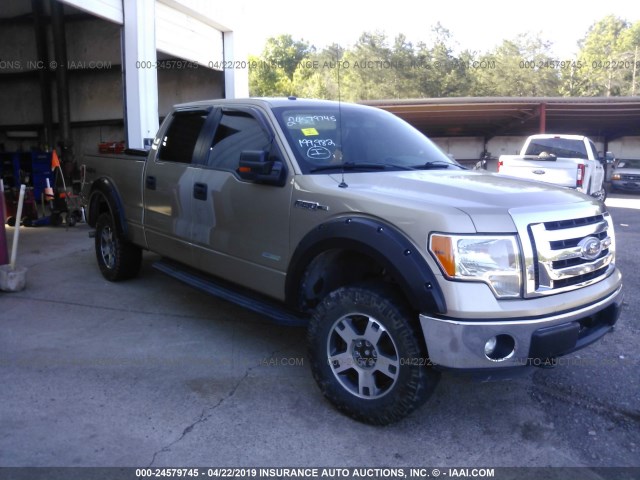 FORD F-150 2012 1ftfw1et8cfc37595