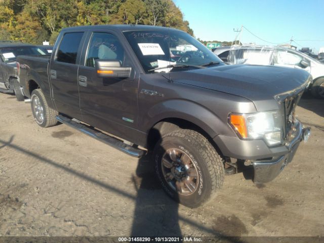 FORD F-150 2012 1ftfw1et8cfc86456