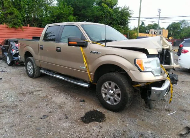 FORD F-150 2012 1ftfw1et8cfd06544