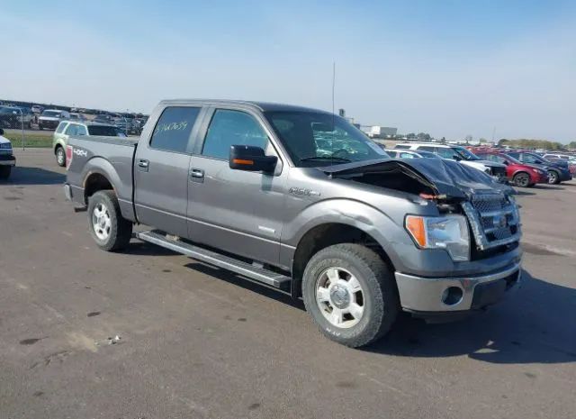 FORD F-150 2012 1ftfw1et8ckd83972