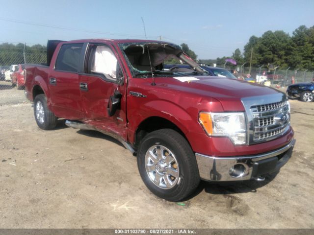 FORD F-150 2013 1ftfw1et8dfa12059