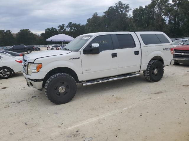 FORD F-150 2013 1ftfw1et8dfa21327