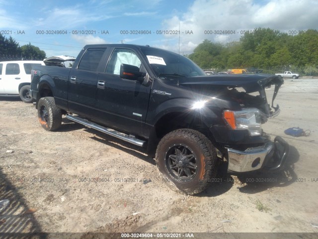 FORD F-150 2013 1ftfw1et8dfa81320