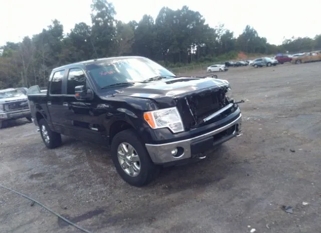 FORD F-150 2013 1ftfw1et8dfb41855