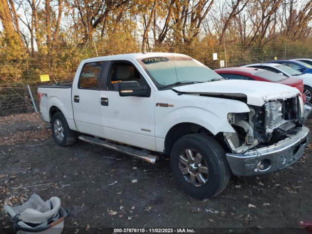 FORD F-150 2013 1ftfw1et8dfb46800