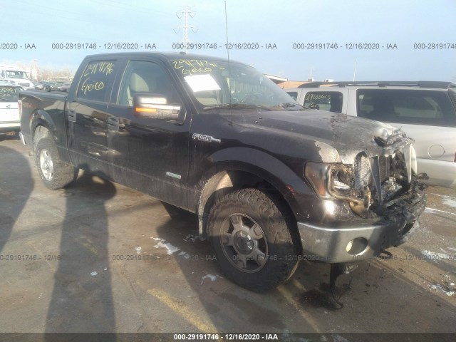 FORD F-150 2013 1ftfw1et8dfc05117