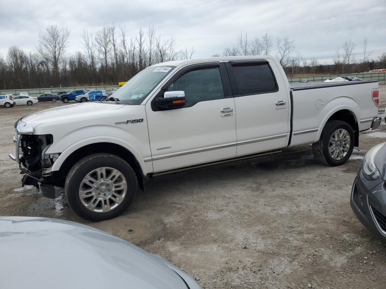 FORD F-150 2013 1ftfw1et8dfc10446