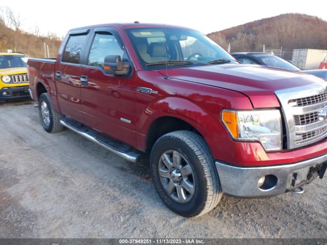 FORD F-150 2013 1ftfw1et8dfc32057