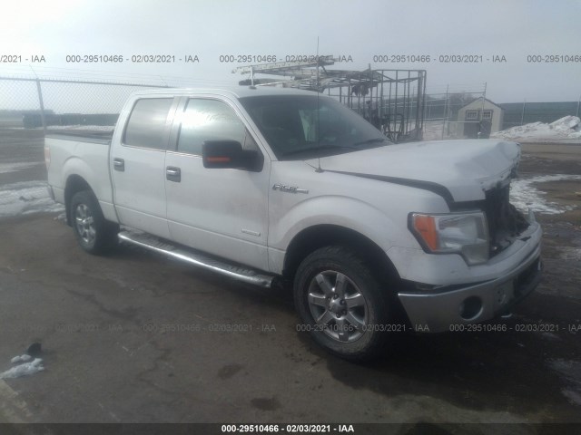 FORD F-150 2013 1ftfw1et8dfc44113