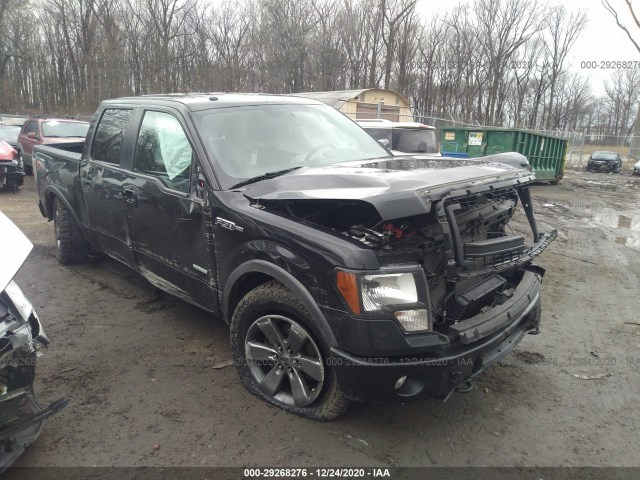 FORD F-150 2013 1ftfw1et8dfc46024