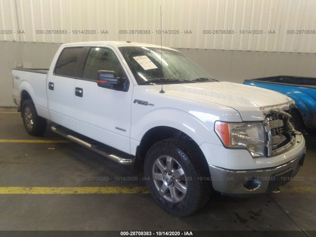 FORD F-150 2013 1ftfw1et8dfc58531