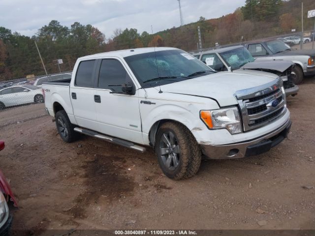 FORD F-150 2013 1ftfw1et8dfc66791