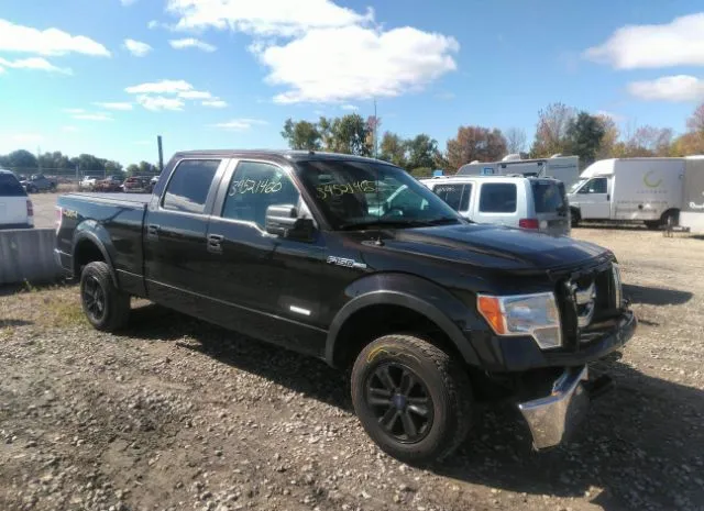 FORD F-150 2013 1ftfw1et8dfd14242