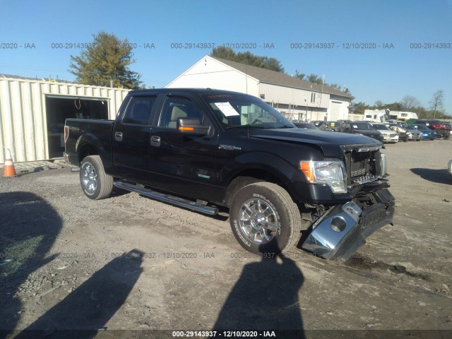 FORD F-150 2013 1ftfw1et8dfd29968