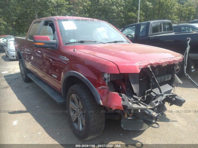 FORD F-150 2013 1ftfw1et8dfd46012